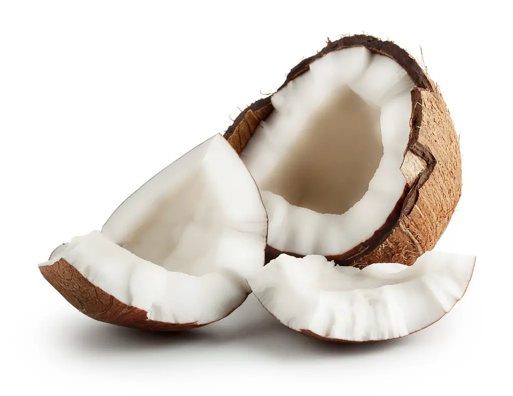 \"coconut\"